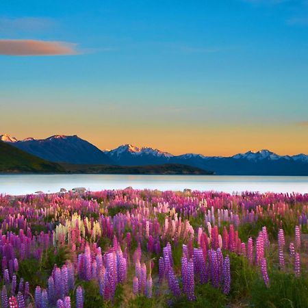 Lake Views At Antler Lodge Lake Tekapo Kültér fotó