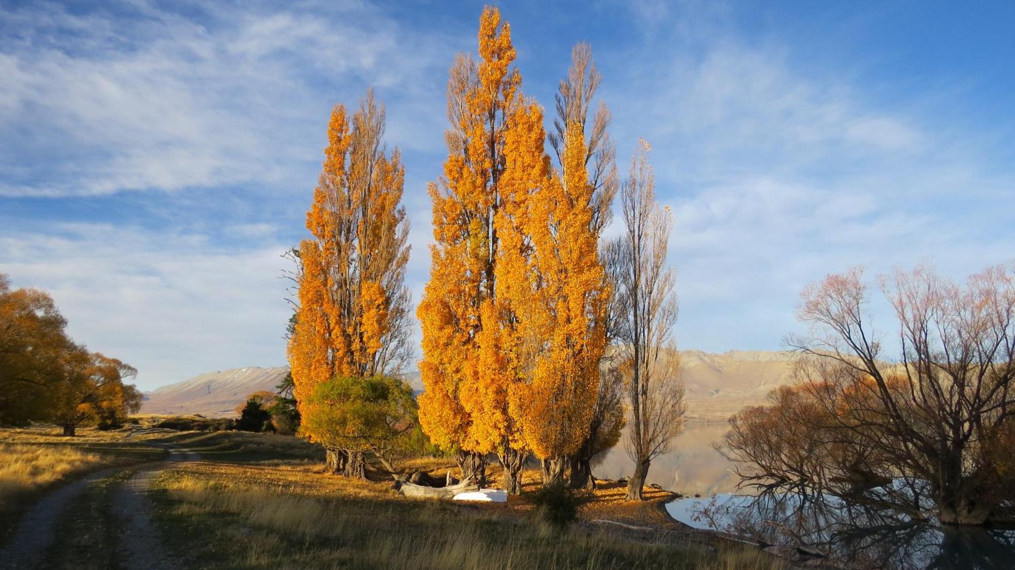 Lake Views At Antler Lodge Lake Tekapo Kültér fotó